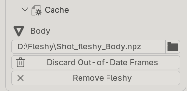 Cache, inside the Scene section, opened